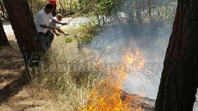 Μάχη με τις φλόγες στις Θερμοπύλες (ΦΩΤΟ)