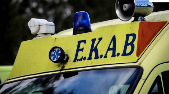 Μεσσηνία: Ροτβάιλερ επιτέθηκε σε οικογένεια – Κατασπάραξε το σκυλάκι τους, παραλίγο και το μωρό τους