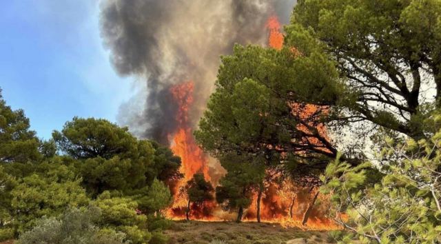 Πυροσβεστική: 44 φωτιές το τελευταίο 24ωρο - Οι 15 ήταν ιδιαιτέρως επικίνδυνες