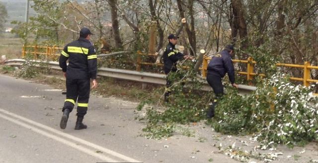 Λαμία: Έριξε δέντρα ο δυνατός αέρας - ΒΙΝΤΕΟ