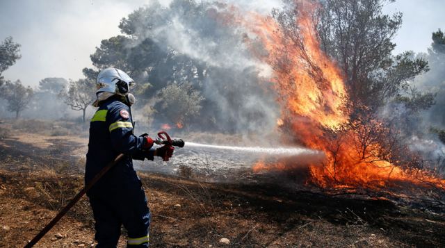 Πυροσβεστική: Στις 49 οι αγροτοδασικές πυρκαγιές το τελευταίο 24ωρο