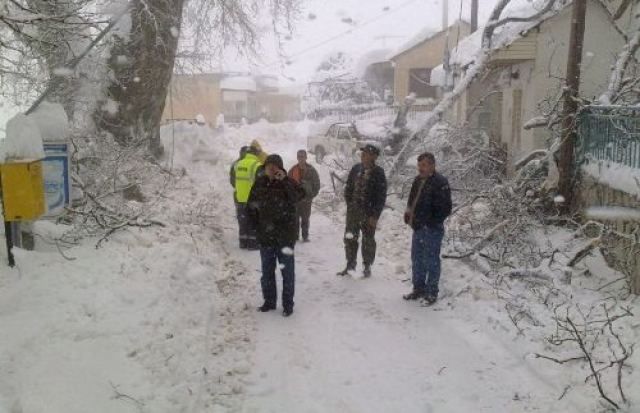 Οι κάτοικοι των χωριών οργανώθηκαν και έπιασαν τους κλέφτες!