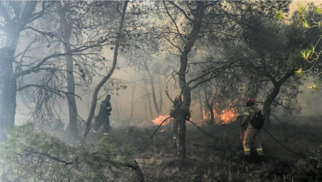 Συνελήφθησαν 9 εμπρηστές σε δύο ημέρες - 99 από την αρχή του χρόνου