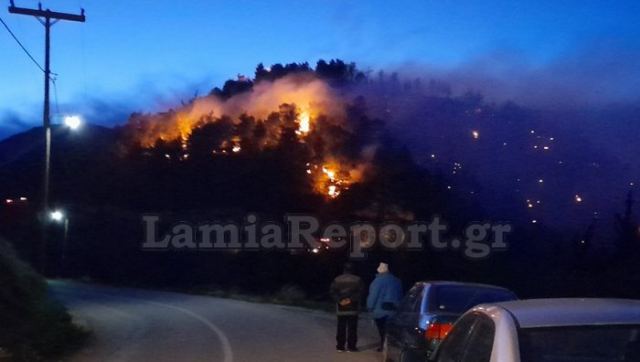 Μεγάλη πυρκαγιά στη Μενδενίτσα - Δείτε εικόνες