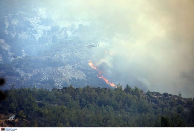 Θυελλώδεις άνεμοι έως το απόγευμα στην Αττική: 7 μποφόρ με ριπές 80 χλμ - Εξασθενούν από το βράδυ