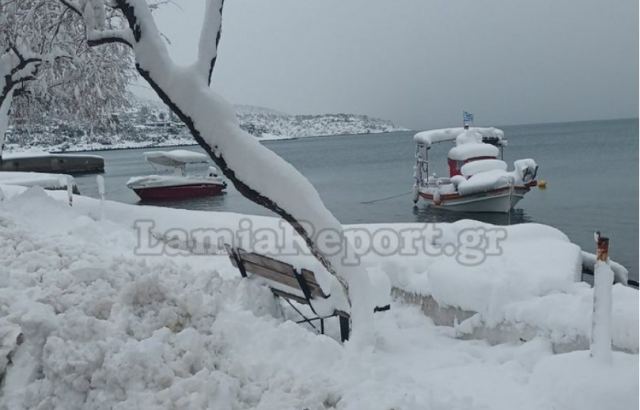 Πως θα λειτουργήσουν τα σχολεία στο Δήμο Στυλίδας