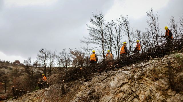 ΔΕΗ: Αποκατάσταση 13.600 στρεμμάτων στην Πάρνηθα  με χορηγία €2,5 εκατ.