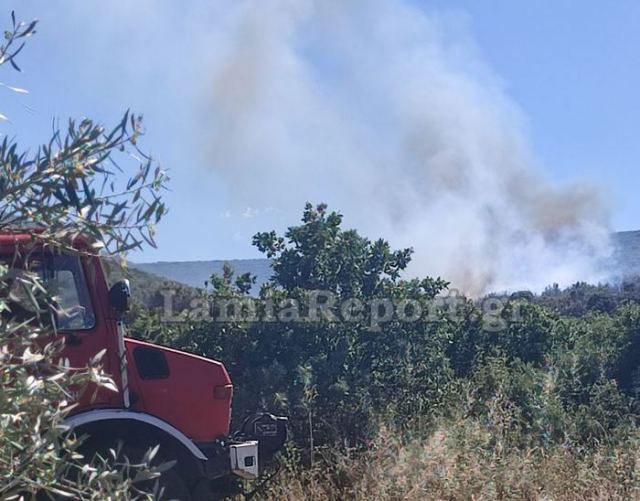 Έσβησαν οι πυρκαγιές σε Λοκρίδα και Φάρσαλα