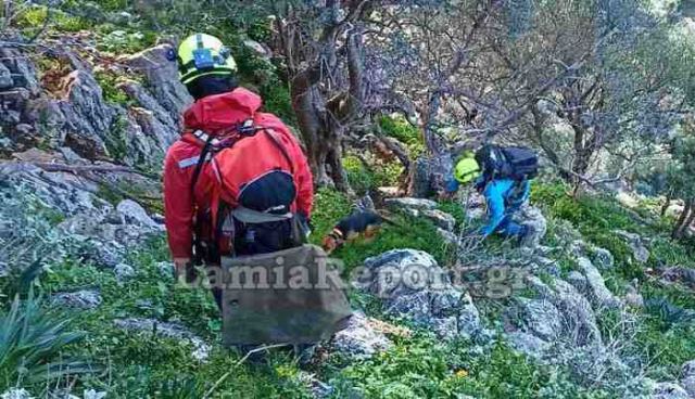 7η ΕΜΑΚ: Επιχείρηση διάσωσης σκύλου από γκρεμό