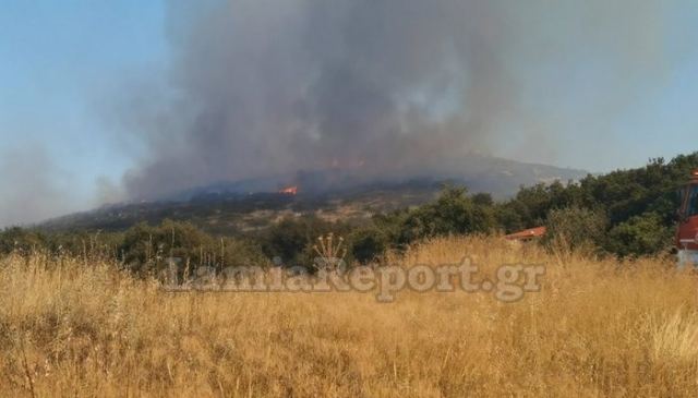 Λαμία: Δύσκολες ώρες για τους κατοίκους της Αμφιθέας (ΒΙΝΤΕΟ-ΦΩΤΟ)