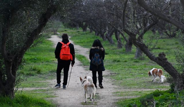 Ραδιενεργά ίχνη από το Τσέρνομπιλ εντοπίστηκαν σε 23 πάρκα στην Αττική