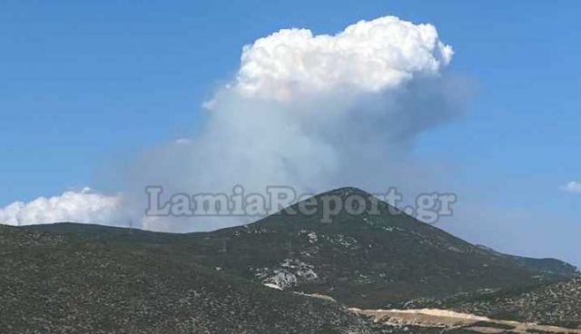 Μεγάλη πυρκαγιά στη Φθιώτιδα - Δόθηκε εντολή εκκένωσης για το Λογγίτσι