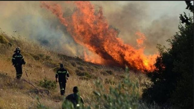 Πυρκαγιά σε δασική έκταση κοντά στην Κάρυστο