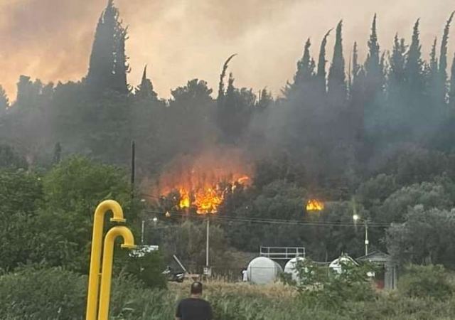 Υπό έλεγχο η επικίνδυνη πυρκαγιά μέσα στη Λιβαδειά (ΒΙΝΤΕΟ)