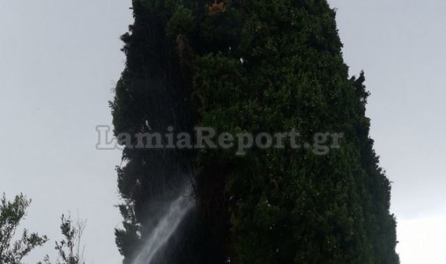 Πυρκαγιά από κεραυνό σε δέντρο στη δυτική Φθιώτιδα (ΦΩΤΟ)