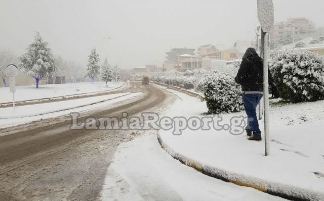 Χιονιάς και στη Φθιώτιδα - Με αλυσίδες προς Καρπενήσι