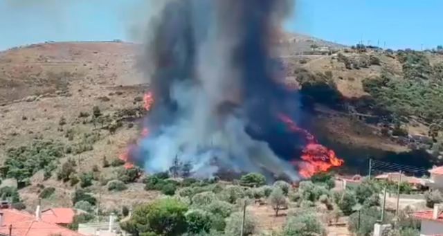 Φωτιά στην Κερατέα - Κοντά σε σπίτια οι φλόγες - Εστάλη 112