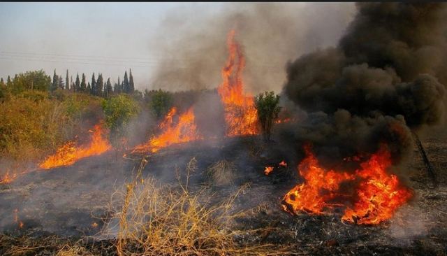 Υπό μερικό έλεγχο η φωτιά στην Ευρυτανία