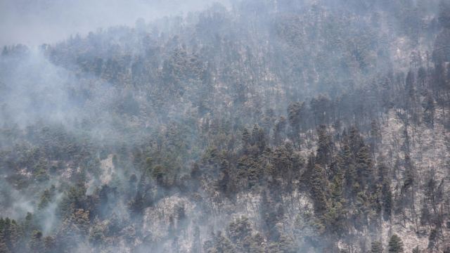 Εύβοια: Η κατάσταση της φωτιάς και τα σενάρια εμπρησμού