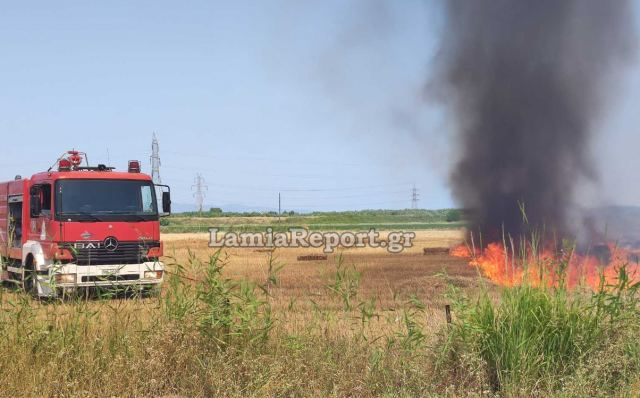 Την πρόλαβαν τη φωτιά στη νότια Λαμία - ΒΙΝΤΕΟ