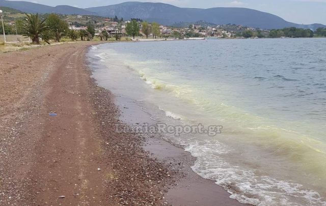 Φθιώτιδα: Γιατί έγινε κίτρινος ο Μαλιακός κόλπος;