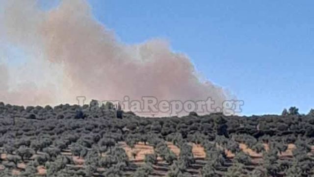 Σε εξέλιξη η πυρκαγιά έξω από την Αταλάντη