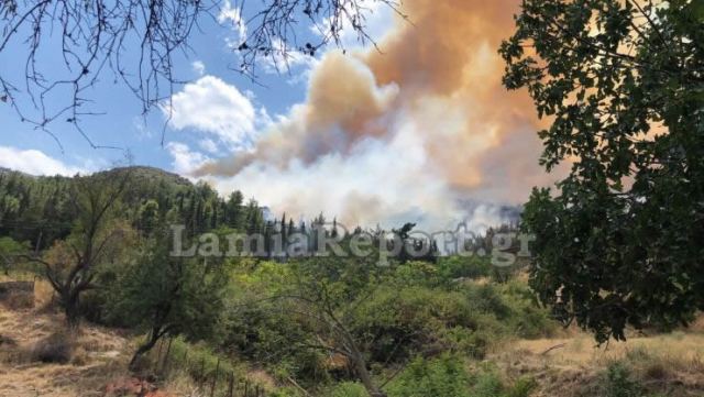 Φθιώτιδα: Έπεσε κι άλλο πρόστιμο για πρόκληση πυρκαγιάς