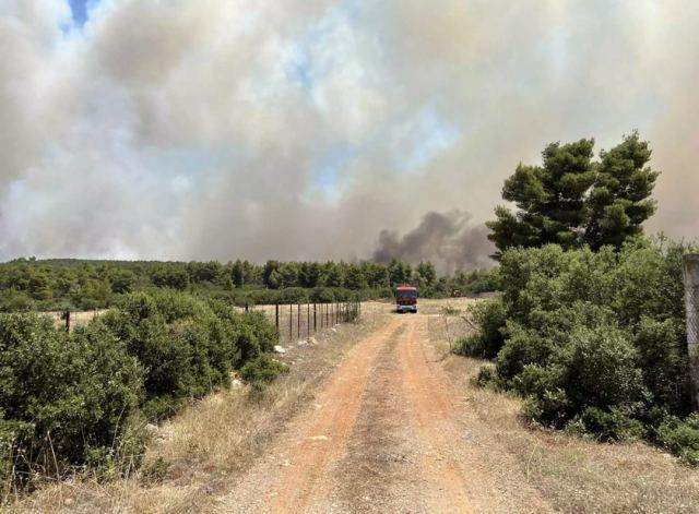 Νέες αναζωπυρώσεις στα Δερβενοχώρια - Μάχη να μην περάσει στην Πάρνηθα η φωτιά