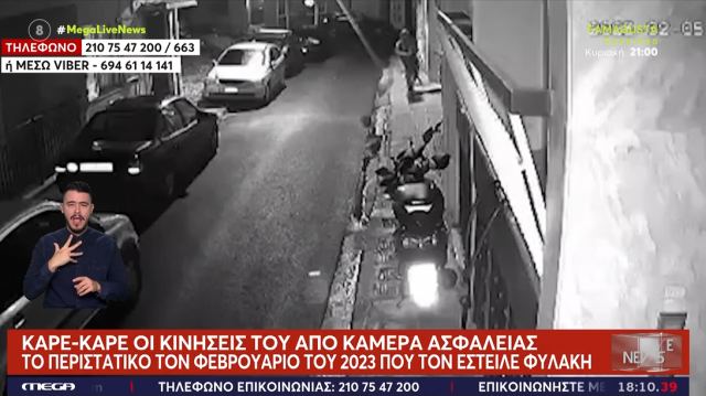 Στη φυλακή ο 33χρονος που βασάνιζε και σκότωνε γάτες