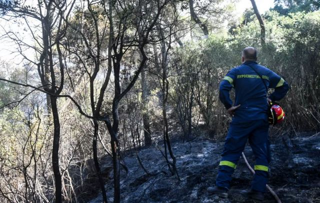 Φωτιά στο Μαστραντώνη Αχαΐας: Πάνω από 30.000 στρέμματα έγιναν στάχτη μέσα σε 12 ώρες