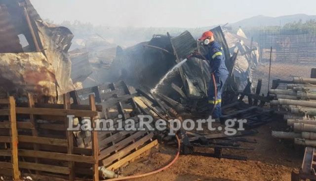 Έγινε στάχτη ποιμνιοστάσιο στη Φθιώτιδα - Δείτε εικόνες