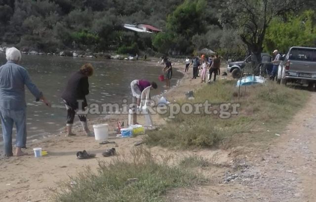 Φθιώτιδα: Γέμισε τσιπούρες η θάλασσα - Απίστευτες ψαριές - ΦΩΤΟ