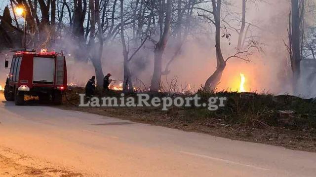 Πυρκαγια και στη Ροδωνιά Υπάτης!