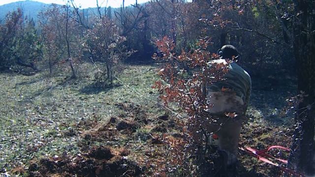 Φθιώτιδα: Τραυματίστηκε σοβαρά με αλυσοπρίονο στο πρόσωπο