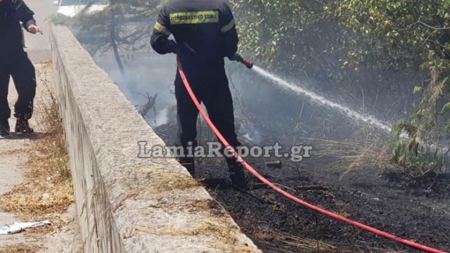 Λαμία: Αποτσίγαρα προκάλεσαν μικρής έκτασης πυρκαγιές