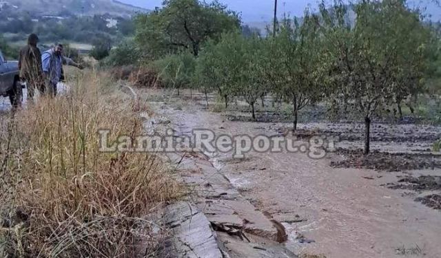 Φθιώτιδα: Βγήκε το νερό και στο Παλιούρι (ΒΙΝΤΕΟ)