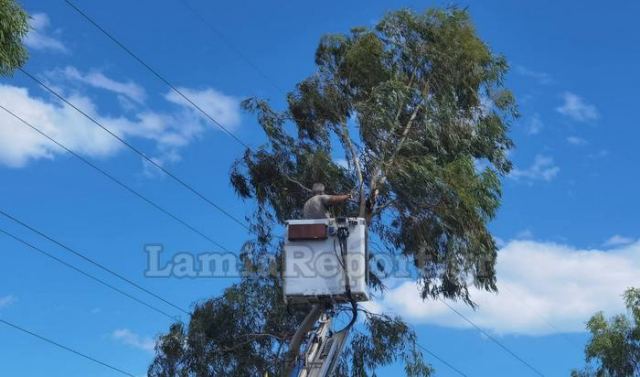 Λαμία: Ο αέρας έριξε δέντρα κι έσπασε κλαδιά (ΒΙΝΤΕΟ-ΦΩΤΟ)