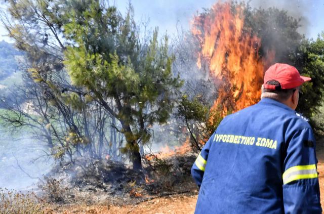 Φωτιά στα Κρεμαστά στο Αγρίνιο, επίγειες και εναέριες δυνάμεις στο σημείο