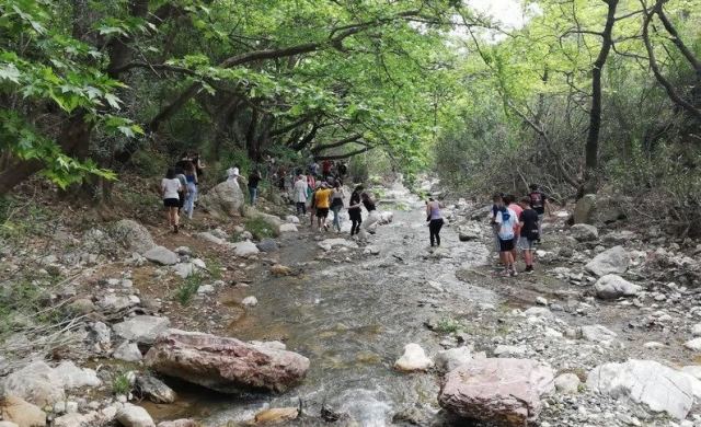 Τα παιδιά γνώρισαν το 