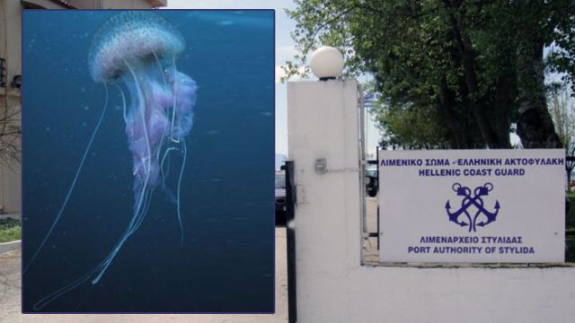 Οδηγίες από το Λιμεναρχείο Στυλίδας για τις μωβ μέδουσες