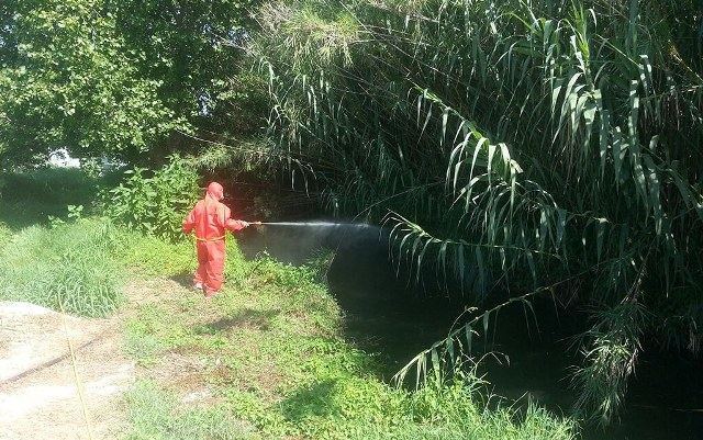 Εντείνονται οι ψεκασμοί για τα κουνούπια σε Λαμία και Φθιώτιδα