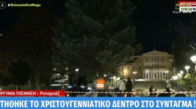 Μύρισαν Χριστούγεννα στο Σύνταγμα: Στήθηκε το χριστουγεννιάτικο δέντρο που θα στολιστεί με 24.000 λαμπιόνια