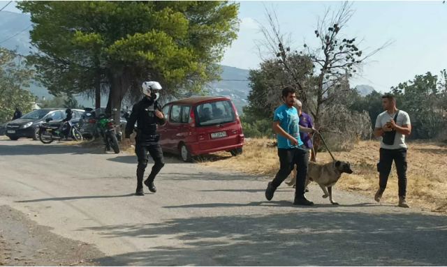 Φωτιά στην Πάρνηθα: Εκκενώνεται ο οικισμός της Αγίας Παρασκευής στο Μενίδι