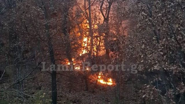 Μεγάλη πυρκαγιά στο Ροβολιάρι Μακρακώμης