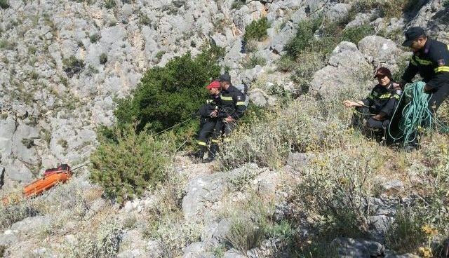 ΤΩΡΑ: 30χρονος έπεσε σε γκρεμό - Σε εξέλιξη επιχείρηση στην Αράχωβα