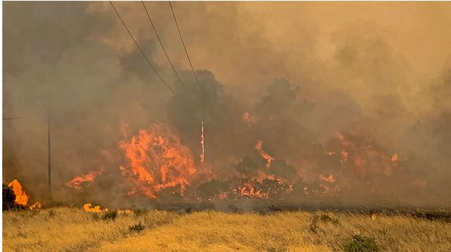 Συνελήφθη γυναίκα στα ορεινά των Τρικάλων για εμπρησμό από πρόθεση