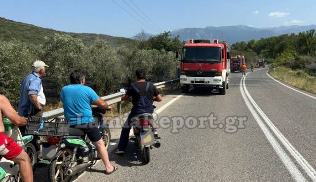 Πυρκαγιά δίπλα στην εθνική οδό Λαμίας - Καρπενησίου (ΦΩΤΟ)