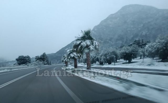 Κλειστά όλα τα Σχολεία στο δήμο Καμένων Βούρλων