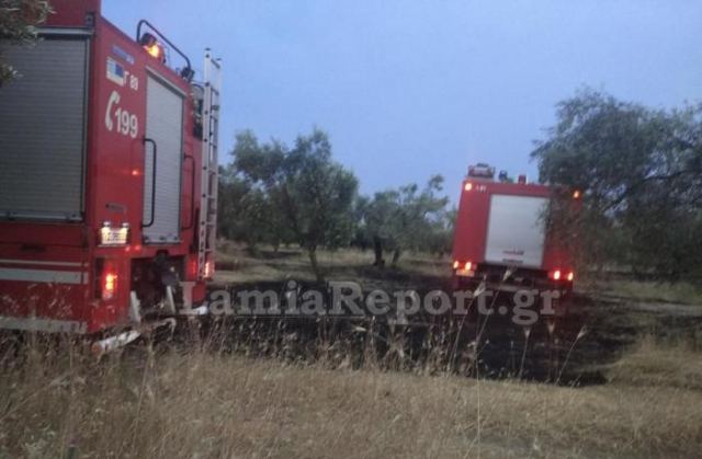 Φθιώτιδα: Έτρεχαν για φωτιά οι πυροσβέστες στον Άγιο Σεραφείμ