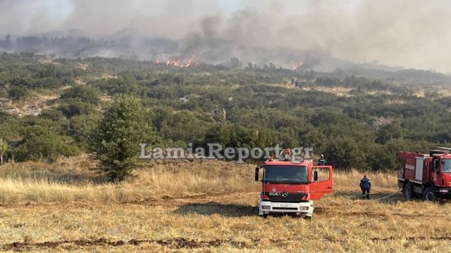 Σε επιφυλακή οι δυνάμεις πυρόσβεσης στη βόρεια Λαμία